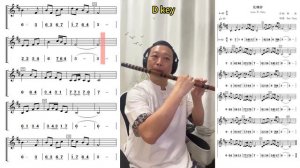 《Luàn Pò Chāo -The Untamed OST》D key Dizi Flute Playing With Video Score (Staff+Number Notation)乱魄抄