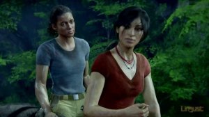 Uncharted The Lost Legacy: Indian elephants