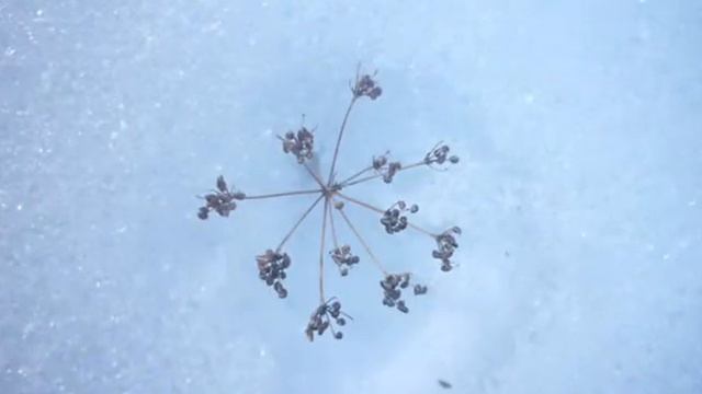 Пробуждение природы смотреть онлайн