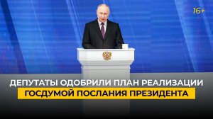Депутаты одобрили план реализации Госдумой послания президента