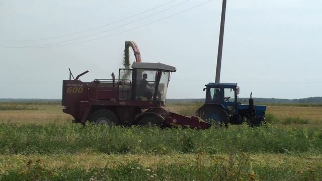 Заготовка силоса с ПОЛЕСЬЕ 600 и МТЗ-80 с 2птс4 . смотреть онлайн