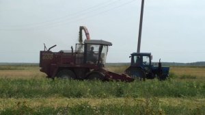 Заготовка силоса с ПОЛЕСЬЕ 600 и МТЗ-80 с 2птс4 .