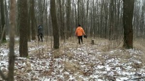 Засняли алкашей в лесу. СКРЫТАЯ КАМЕРА В ЛЕСУ.