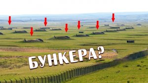 Богачи строят БУНКЕРА в Новой Зеландии! За чем?