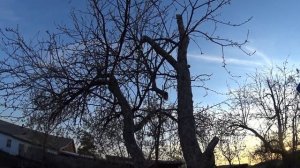 УЖИН ПО ДЕРЕВЕНСКИ С АППЕТИТОМ! НАЧАЛО ЛЕТНЕГО СЕЗОНА 2022!!!