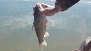 Рыбалка, Варнавинское водохранилище. 05.04.24 г.