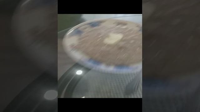 сварили?