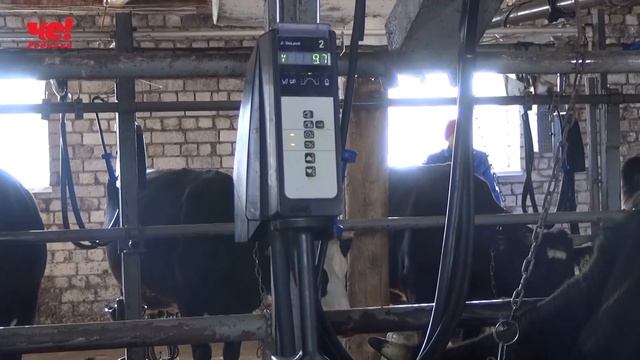 семинар сх Д Черкесов смотреть онлайн