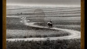 Музыкальная викторина по песням военных лет. Часть 2. Черепанов Р.В
