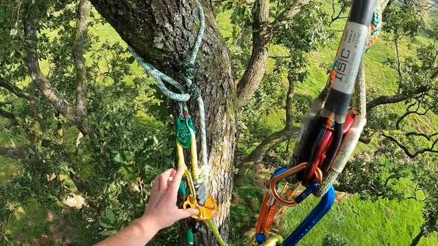 SRT and DRT: The Differences смотреть онлайн