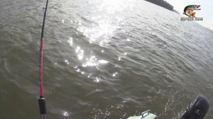 Рыбалка ТРОЛЛИНГОМ в Молчаново и всё о ТРОЛЛИНГЕ на Оби, часть 6. (21.09.2020)