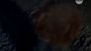 Глубинное Государство - Теневое Правительство