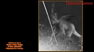 Страшная История - Крылатый чупакабра