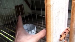 Кормушки для кроликов. Клетка для кролей своими руками (мини-ферма Михайлова). Семья Бровченко.