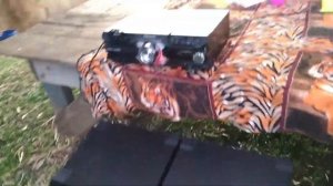 Panasonic MAX6500? MAX3500 x LG CL98 no máximo área externa.