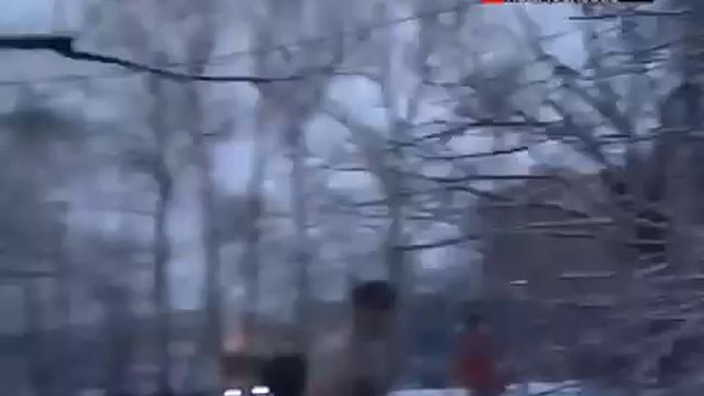 один волк,  и стая шакалов !!!