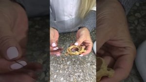 Первый шейный позвонок