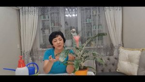 Эхмея гүлін білесіз бе? "Жолақты эхмея" // Эхмея полосатая. Уход в домашних условиях.