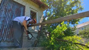 Купил Заброшенный Дом в Деревне, Что я Там Нашёл?