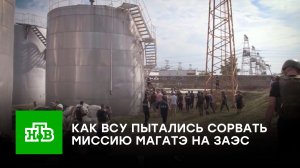 Обстрелы и высадка десанта: как ВСУ пытались сорвать миссию МАГАТЭ на ЗАЭС