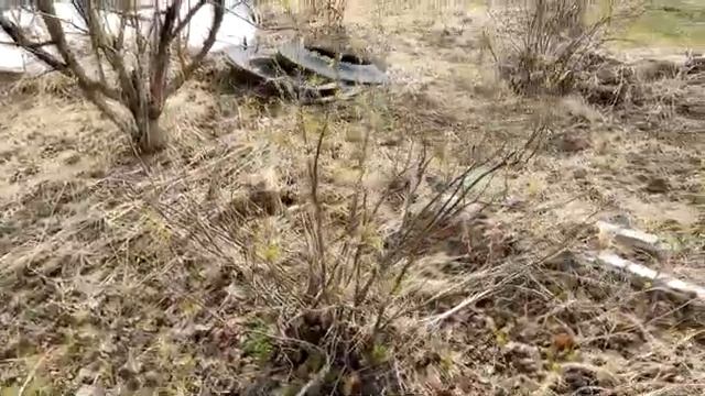 Приобрел Участок за Бесплатно.Такое возможно? У Меня Получилось!!!