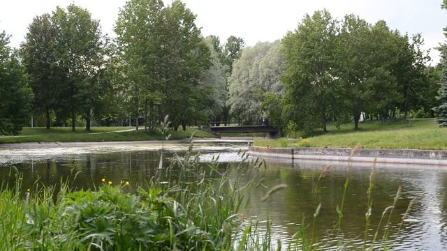 УСПЕЛА УТЕШИТЬ ДО ПРИХОДА МУЖА. Истории из жизни. Жизненные аудио рассказы, измена жены смотреть онлайн