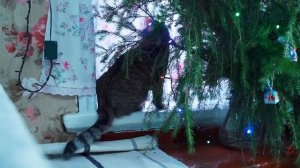 РОЖДЕСТВО В УРАЛЬСКОЙ ГЛУБИНКЕ _ ПОЛНЫЙ ДОМ ГОСТЕЙ _ ЕДА ИЗ РУССКОЙ ПЕЧИ