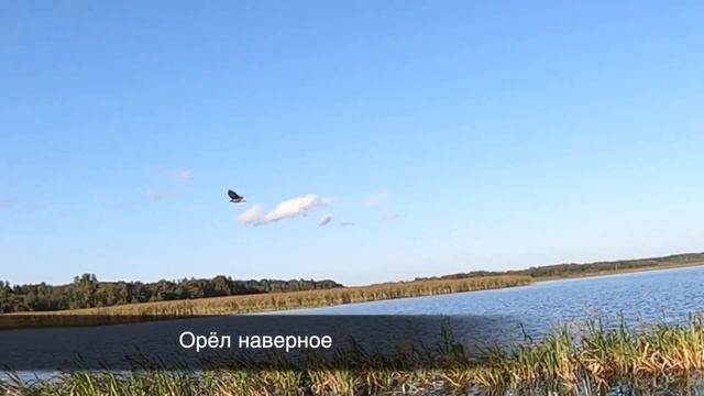 Как НЕ поймать и остаться ДОВОЛЬНЫМ? Рыбалка на заповедном озере смотреть онлайн