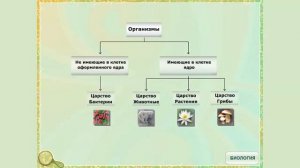 Отличительные признаки растений
