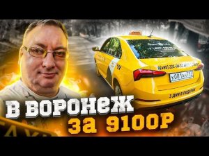 Эконом по Чехову? В Воронеж на Skoda Rapid. EliteCar/StasOnOff