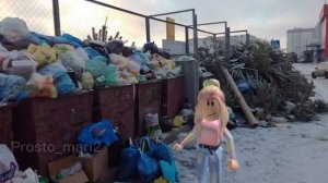 Кошка Лана смешное видео Кошка Лана и её друзья