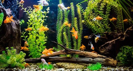 Нежный и крепкий СОН, глубокий релакс и успокоение нервной системы смотреть онлайн