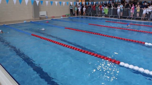 Веселый Дельфин. 17.03.2019. Девочки. 50 м. Брасс. №1. 2010 г.р. смотреть онлайн