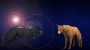 WildCraft: История волка( Клип)