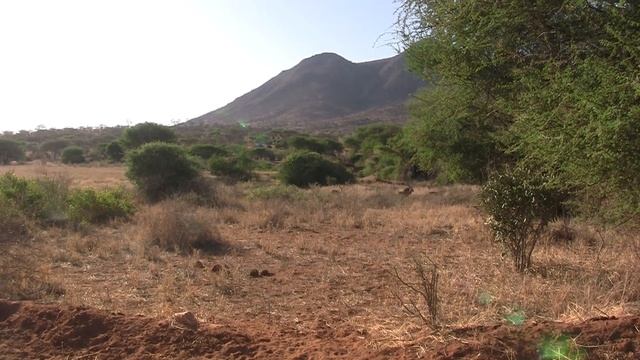 Кения\Африка\сафари\Цаво\эпизод2 \\ Kenya\Africa\Safari\ Tsavo West National Park\Episode2