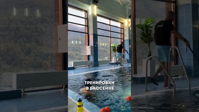 Swimming training camp. Sochi. Тренировки по плаванию, триатлону, силовой, растяжке, МФР. #плавание