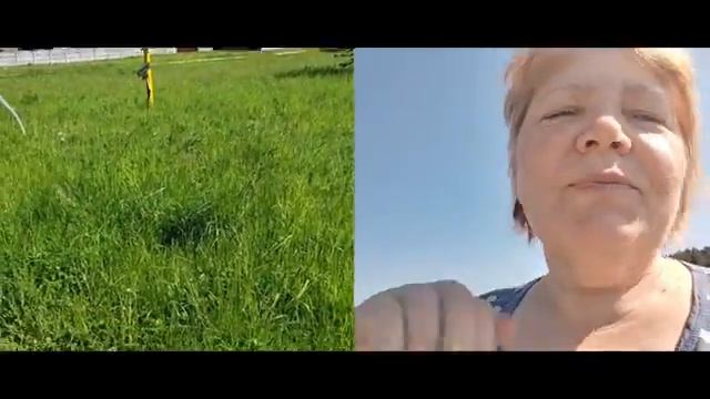 Навожу порядок на участке, кошу траву, убираю на птичьем дворе. У нас появились очередные утята.