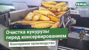 Линия подготовки кукурузы к заморозке или консервированию