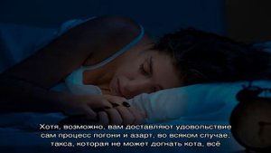 Сонник — кошка: к чему снится кошка на руках, гладить, кормить, ловить и поймать кошку: толкование.