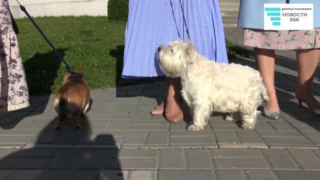 Городской фестиваль Модерн прошёл в "Усадьбе Асеевых"