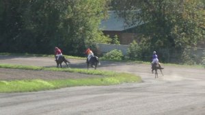 Рысь под седлом. Абакан&Мустанг 2019