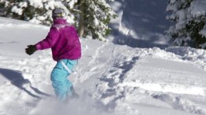 Iskusstvo.Poleta.2011.XviD.HDRip.RusVO