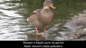 Мужчина заметил нового соседа по даче и поздоровался. Он еще не знал, чем закончится это знакомство