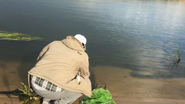 Рязань Ока Рыбалка *62* смотреть онлайн