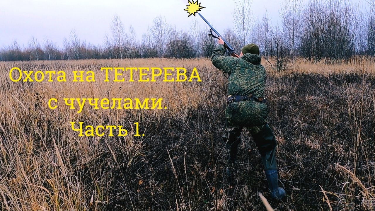 Охота на ТЕТЕРЕВА с чучелами. Часть 1.
