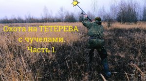Охота на ТЕТЕРЕВА с чучелами. Часть 1.