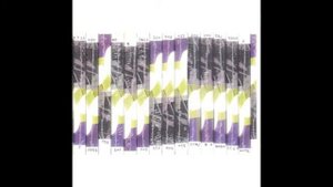 Burnt Friedman & Jaki Liebezeit - The Sticks