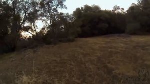 Топ 10 Атака кабана на охотника!!! Смотреть всем.