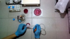 Краткая инструкция по посеву на среду Эндо