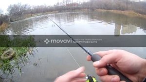 РЫБАЛКА НА РЕКЕ СХОДНЯ!